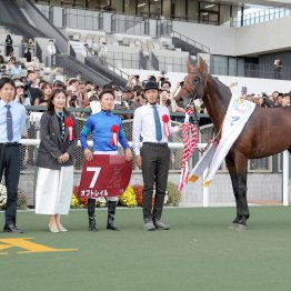 【マイルＳＣ】状態、舞台、鞍上と二重マル　オフトレイル強敵撃破だ