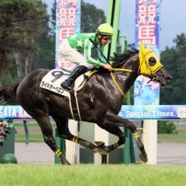【飯島の土曜競馬コラム・福島12Ｒ】