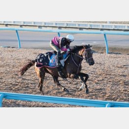 絶好調時の動きに戻った