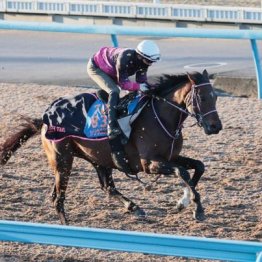 【新居の土曜競馬コラム・福島記念】