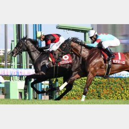 紫苑Ｓ以来の重賞Ｖを狙う