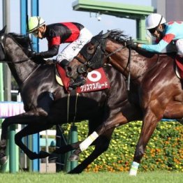 【木津の土曜競馬コラム・福島記念】