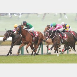 ＧⅡ勝ちが光る