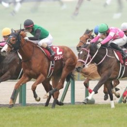 【大谷の土曜競馬コラム・福島記念】