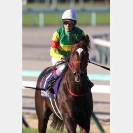 ２歳時にはＧⅠで連対