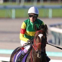 【武田の土曜競馬コラム・福島記念】