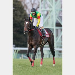 持続力勝負に強い配合