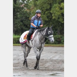 稍重は３戦３勝