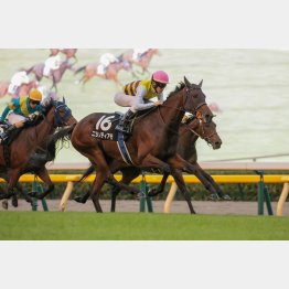 ３連勝でオープン入り