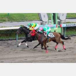 昇級初戦で②着