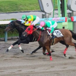 【福島本紙・市川の土曜福島10Ｒ】