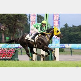 夏の新潟で快勝