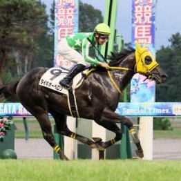 【福島本紙・市川の土曜福島12Ｒ】