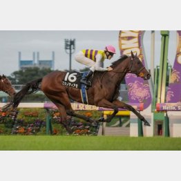 ３勝クラスも一発突破