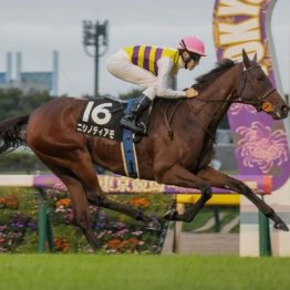 【福島本紙・市川の土曜福島11Ｒ】