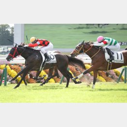 前走が好時計でのＶ