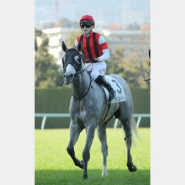 復帰３走目でＶチャンス