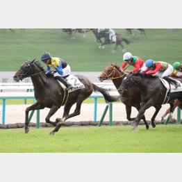 前走で現級勝ち