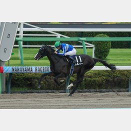 前走は中山でオープン勝ち