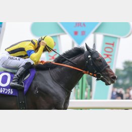 安田記念勝ちで３つ目のタイトルをゲット