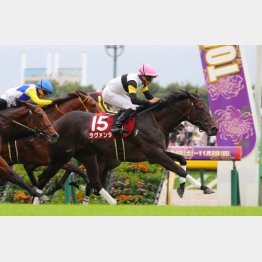 アイルランドＴは圧巻の勝ちっぷり