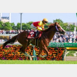 京王杯ＳＣをレコード勝ち