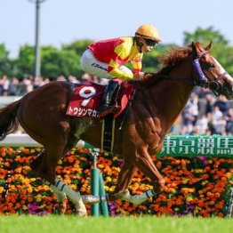 【飯島の日曜競馬コラム・マイルチャンピオンシップ】