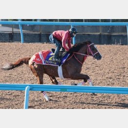 万全の仕上がり