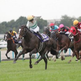 【大谷の日曜競馬コラム・マイルチャンピオンシップ】