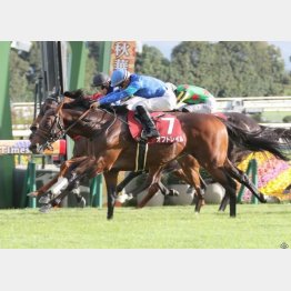 GⅠで再現なるか