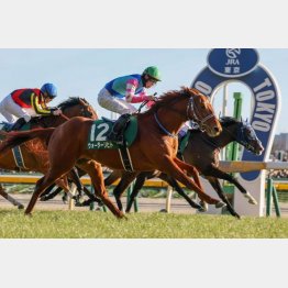 東京新聞杯を差し切り