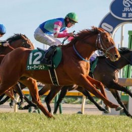 【橘の日曜競馬コラム・マイルチャンピオンシップ】