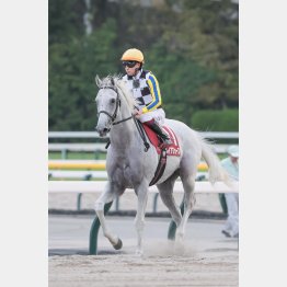 今まさに充実期