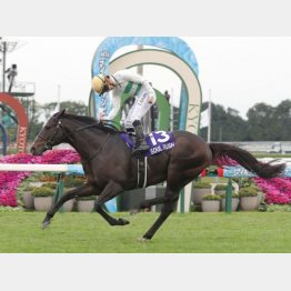 昨年は富士Ｓ②着の４番人気ソウルラッシュがＶ