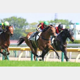 外山◎アニトラは東京千四で現級②着