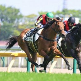 【レスキュー隊の日曜競馬コラム・東京12Ｒ】