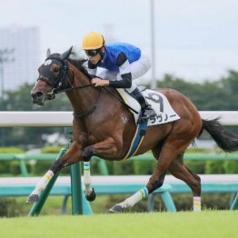 【東京本紙・外山の土曜東京９Ｒ】