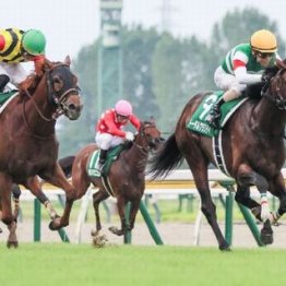 【東京本紙・外山の土曜東京10Ｒ】