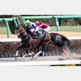 ３勝クラスは１戦で突破した