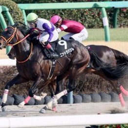 【東京本紙・外山の土曜東京11Ｒ】