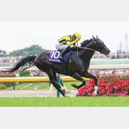 ブッツケの安田記念を完勝