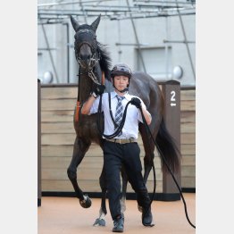 藤岡は３連勝中のブラックケリーで勝負