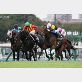 前走は負けて強しの内容（緑帽）