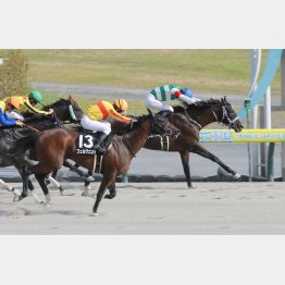 ２走前が僅差の②着