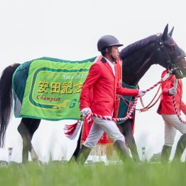 【マイルチャンピオンシップ】ジャンタルマンタル川田騎手で盤石です