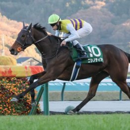 【福島記念】４歳牝馬ニシノティアモが４連勝で重賞ゲット
