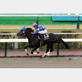 昨年以来の勝利を目指す