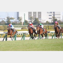 アルメリア賞で③着（左から２頭目）