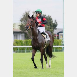 後記録の持ち主