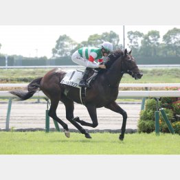 バネのある走り